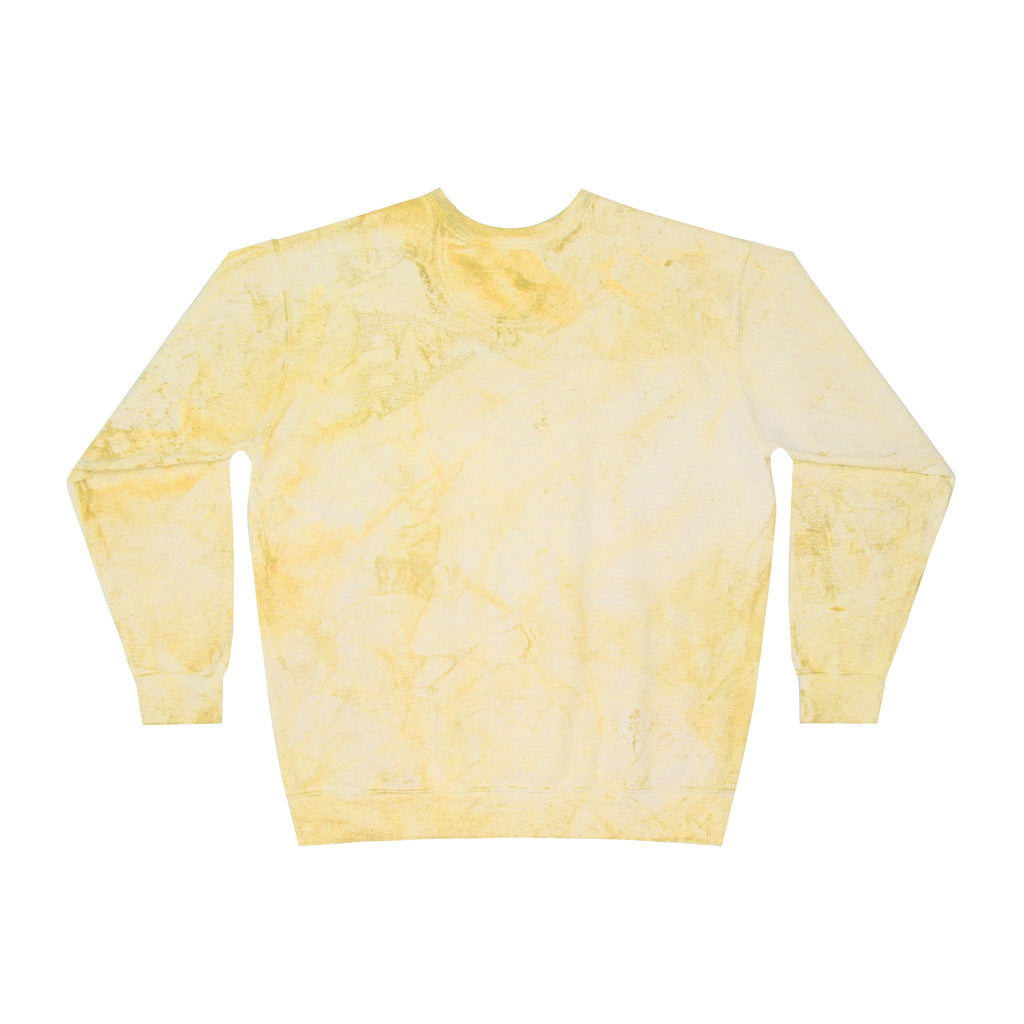 East Texas Flag Crewneck Sweatshirt – WBR Daddy Coffee Logo Color Blast